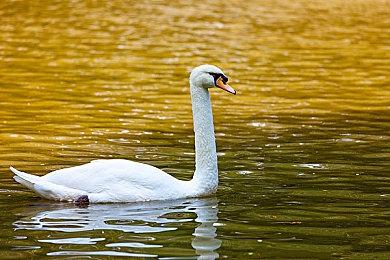 电影《死侍3》发布新预告 7月26日上映