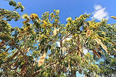 《罪恶装备：STRIVE》公布DLC角色 “梅喧”预告片  明年一月上线